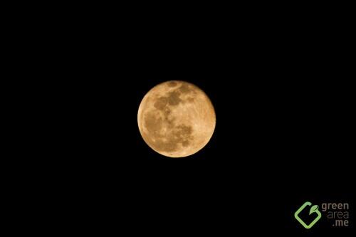 Moon 032016_2701 copy