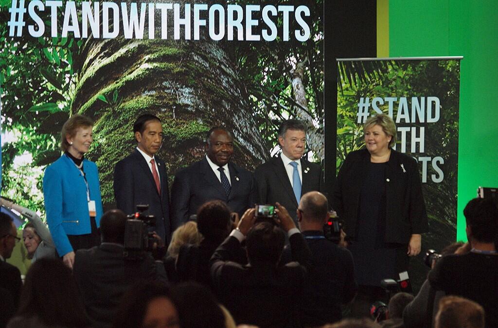 Heads of Government Join to Endorse Forests as Key Climate Solution