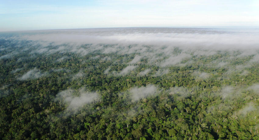 COP21 – Un incendio en la Amazonia arrasa la selva que habitan indígenas aislados 1 diciembre 2015