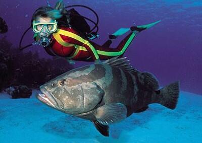 buceo_01