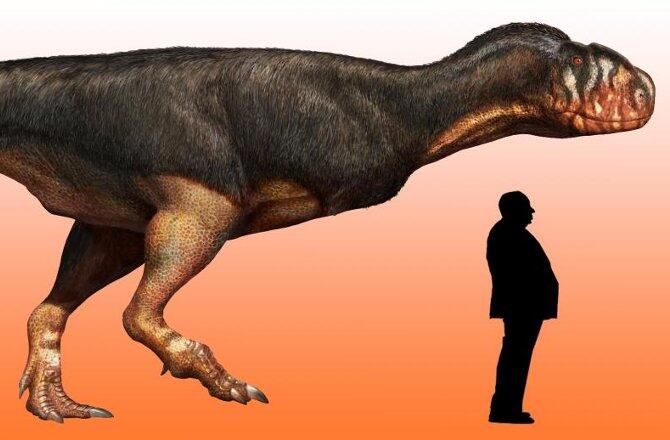 Carnivorous Abelisaur Size Confirmed by Forgotten Fossil