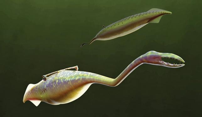 What is a Tully Monster? Scientists finally provide an answer