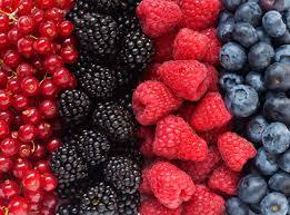 Berries’ health benefits