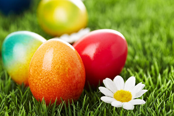 Learn how to color Easter Eggs in a Natural and Fun way !