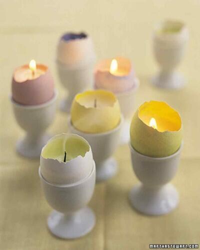 gt048_hom_eggvotive_xl-400x500