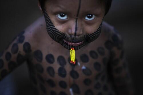 -including-humans-between-400-and-500-indigenous-tribes-call-the-amazon-home