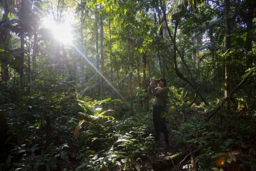 it-covers-roughly-40-of-south-america-and-contains-more-than-one-billion-acres-of-dense-forests