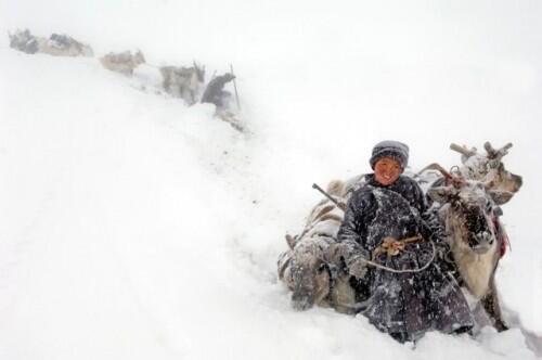 mongolia_reindeer_tribe_4