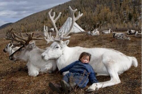 mongolia_reindeer_tribe_6