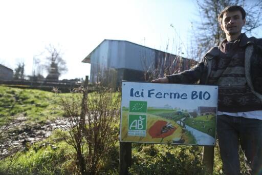 En pleine crise agricole, la sérénité d’un petit producteur de lait bio en Normandie