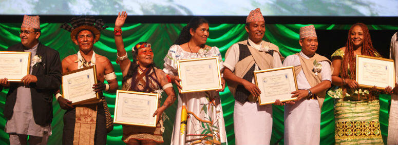 Brazilian Indigenous Movement Receives Prominent UN Environmental Prize at COP 21 in Paris