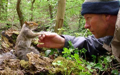 Interesting facts you never knew about this flying rodent