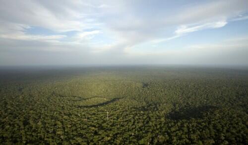 the-amazon-rainforest-is-one-of-the-most-beautiful-places-on-earth