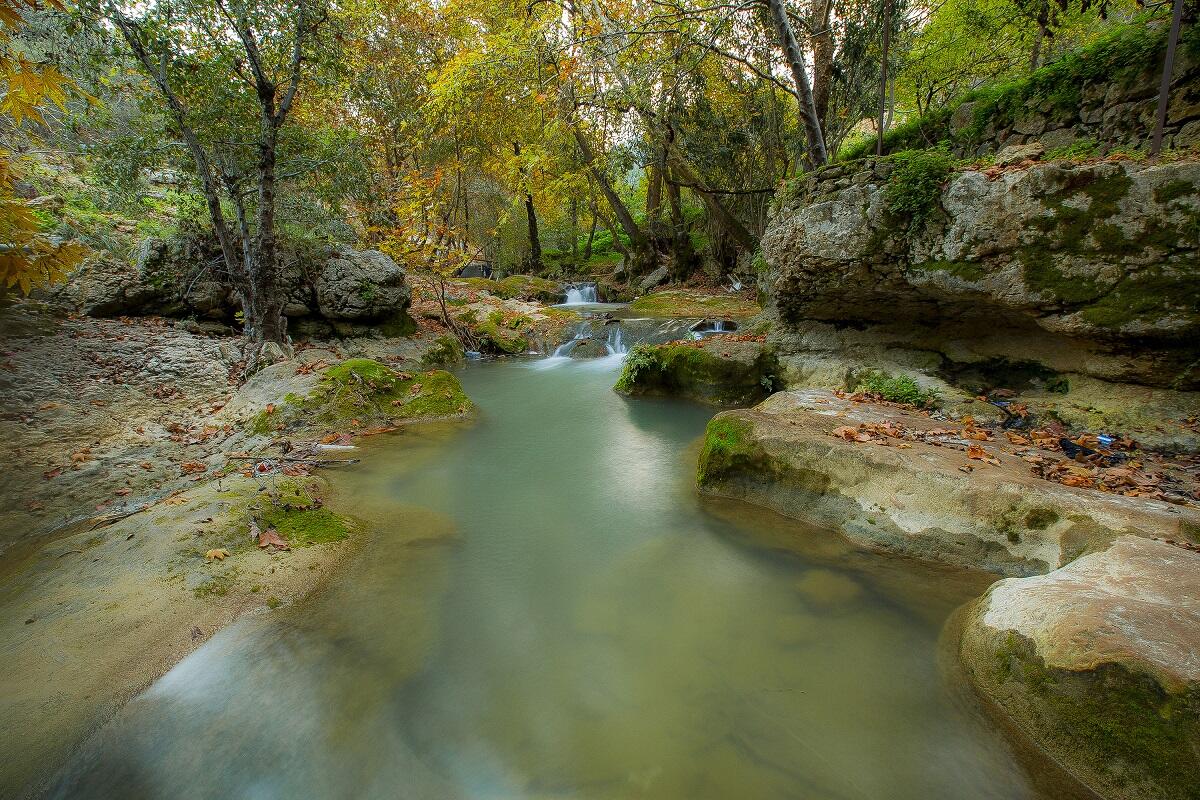 الجاهلية