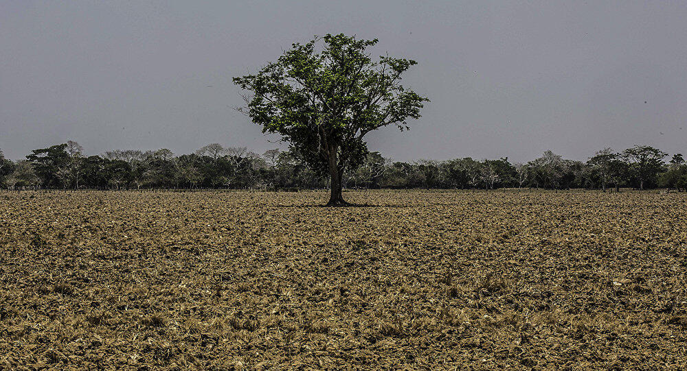 El Niño entra en fase final en Colombia pero se prevé llegada de La Niña