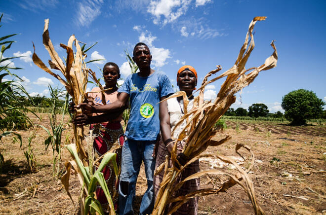 El Niño causa en el sur de África la peor hambruna desde 2005