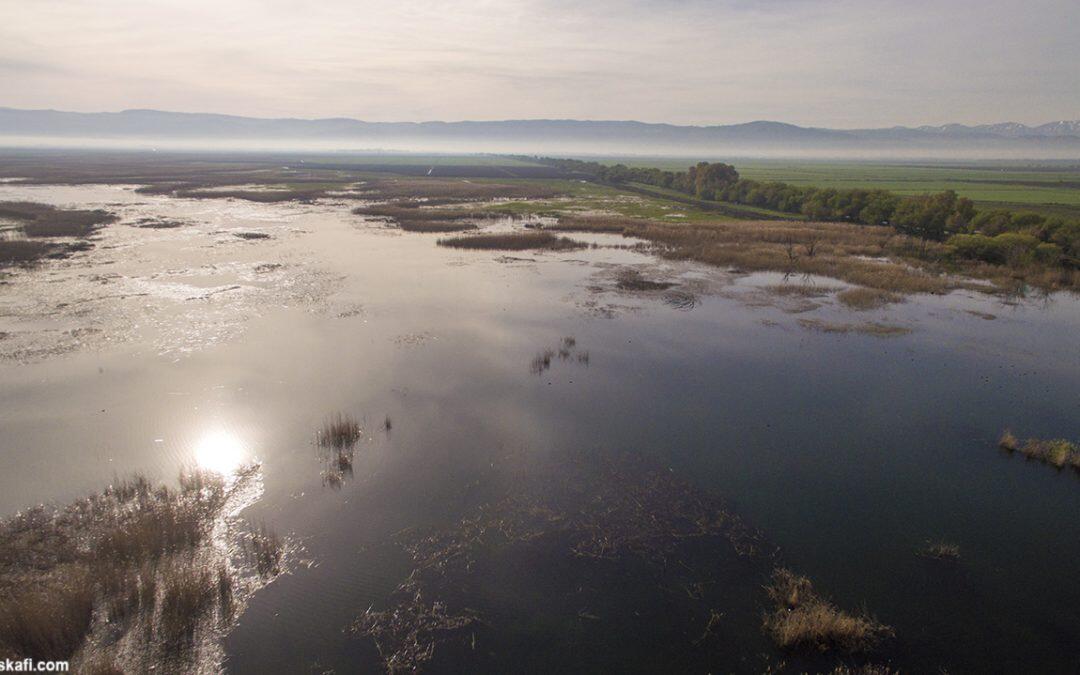 Marais de Ammik : Les zones humides les plus importantes au Liban sont menacées par le changement climatique