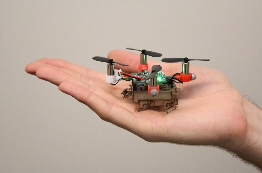 This tiny robot flies and crawls like a stag beetle