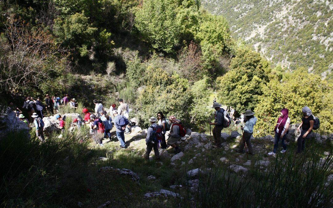 درب الجبل..تحيي التراث والسياحة في لبنان