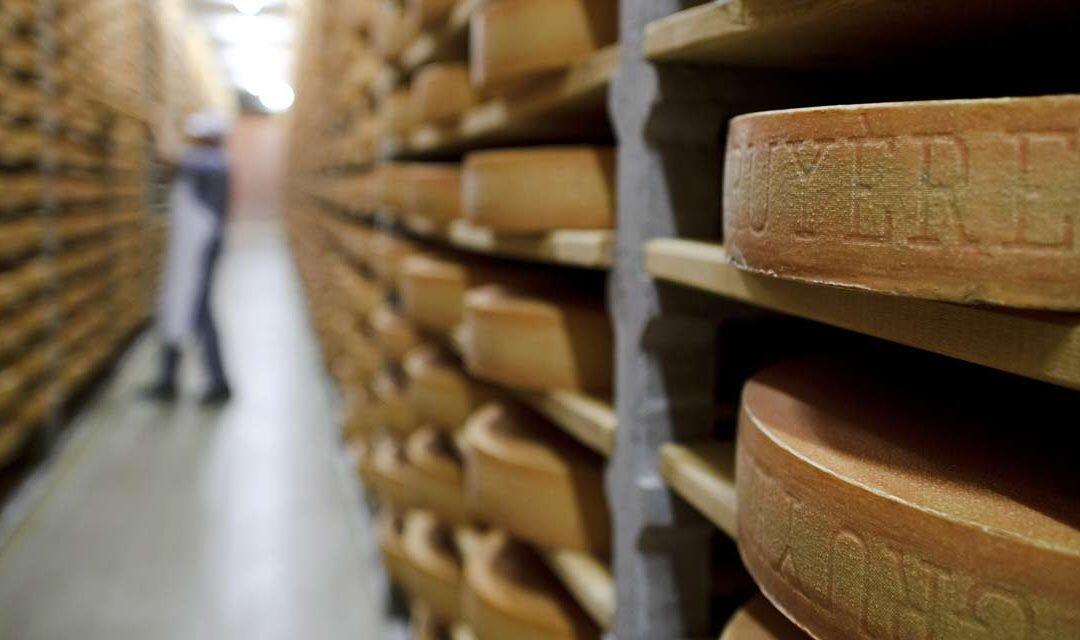 Les Suisses mangeaient déjà du fromage il y a 3.000 ans