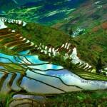 Yuanyang-mejores-paisajes-1024x576