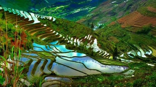 Yuanyang-mejores-paisajes-1024x576