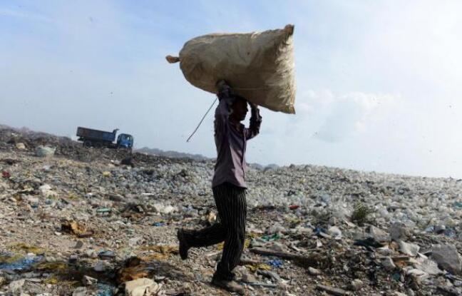 Pollution marine: les plastiques, «premiers prédateurs» des océans