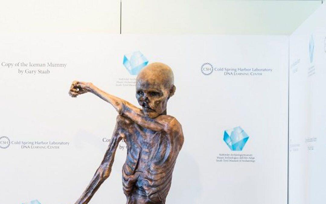 Ötzi « l’homme des glaces » momifié en impression 3D et en tournée