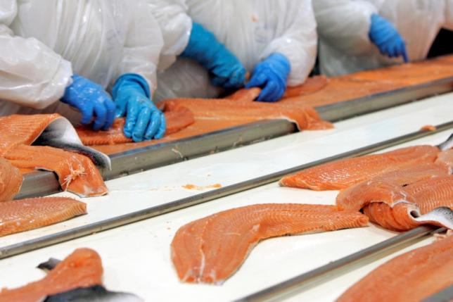 ISA Virus Hits Chilean Salmon