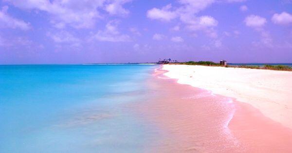 The Beautiful Pink Sand Beach