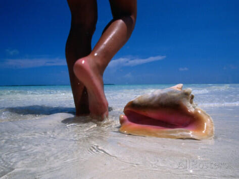 greg-johnston-female-feet-and-conch-shell-on-a-pink-sand-beach-pink-sands-beach-harbour-island-bahamas