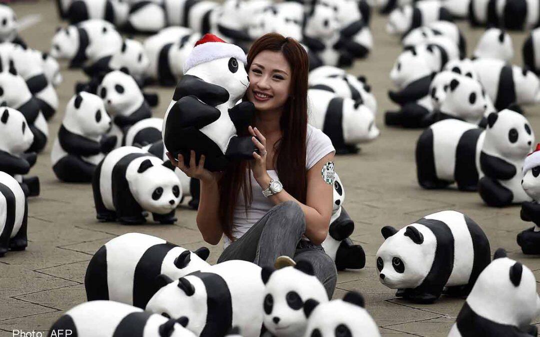 L’exposition « 1.600 Pandas World Tour » à Paris