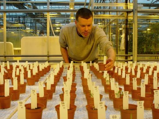 Des pommes de terre cultivées dans le sol aride de Mars, bientôt une réalité?