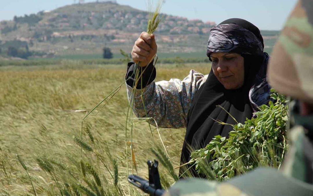 كل تحرير والبيئة بخير!