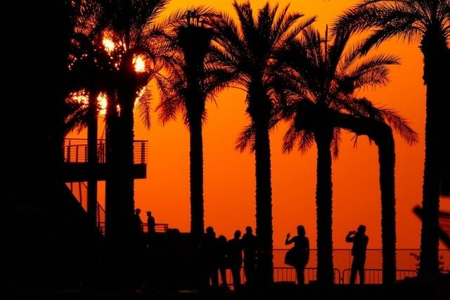 Hotter summers in store for UAE, study predicts