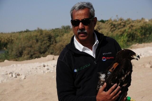 Flight recorders fitted by Environment Agency Abu Dhabi track birds’ travel