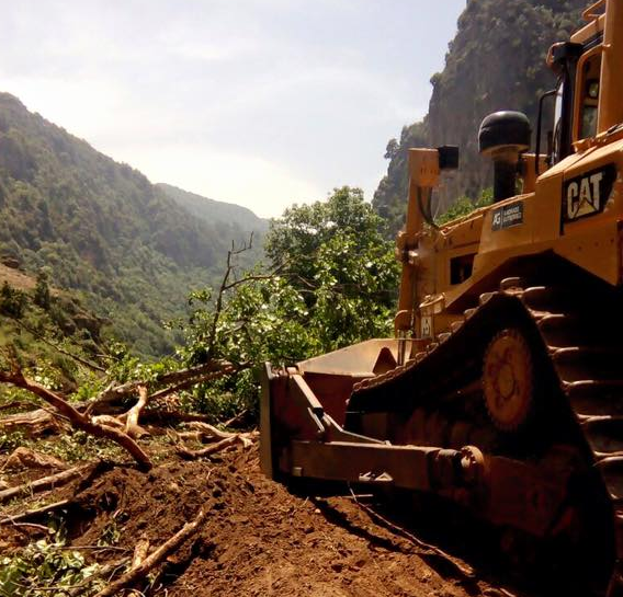 L’abattage à grande échelle recommence sur le site de Janné