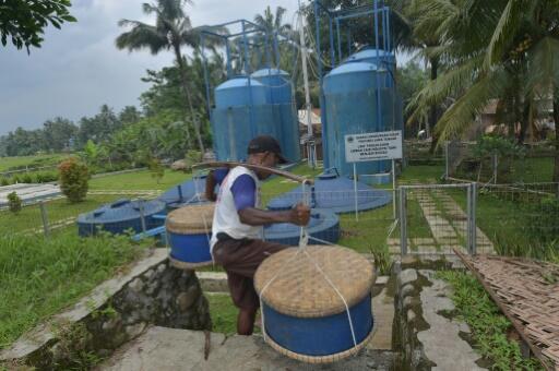 Dans un village d’Indonésie, du jus de tofu transformé en électricité verte