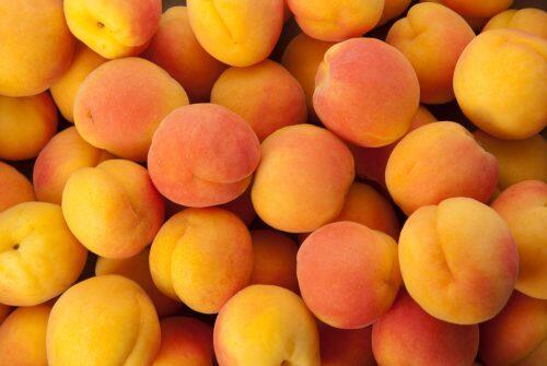 apricot-8