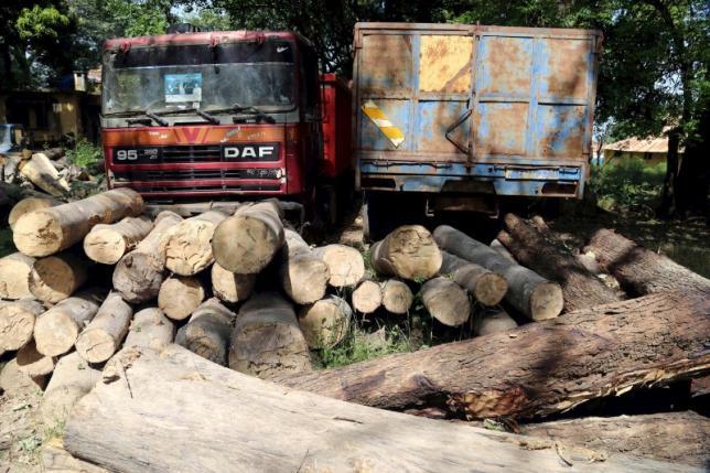 Le Sénégal va lutter contre la coupe abusive de bois en Casamance