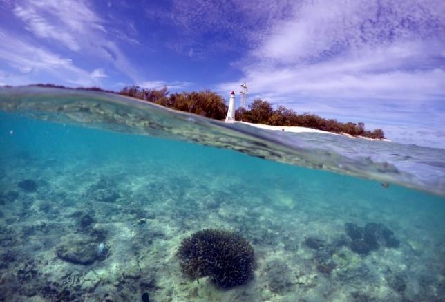 As much as 35 percent of northern and central Great Barrier Reef dead or dying