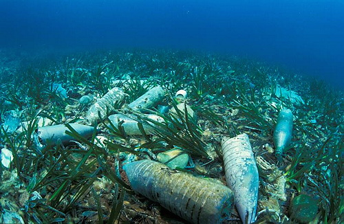 Éliminer l’utilisation de sacs en plastique, première étape pour guérir les océans