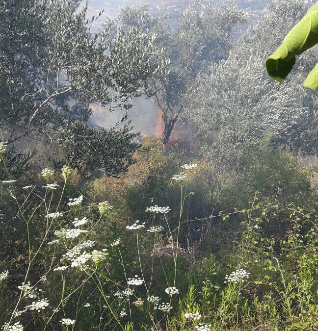 Huge fire breaks out in Meshha