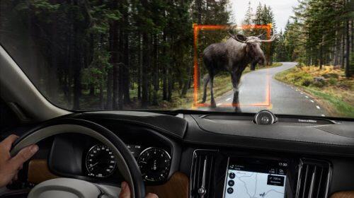 Volvo’s Large Animal Detection with Autobrake uses a radar sensor, front-facing camera and software to determine whether a large animal is standing on the road or moving across it and whether to activate the system. Photo by Volvo.