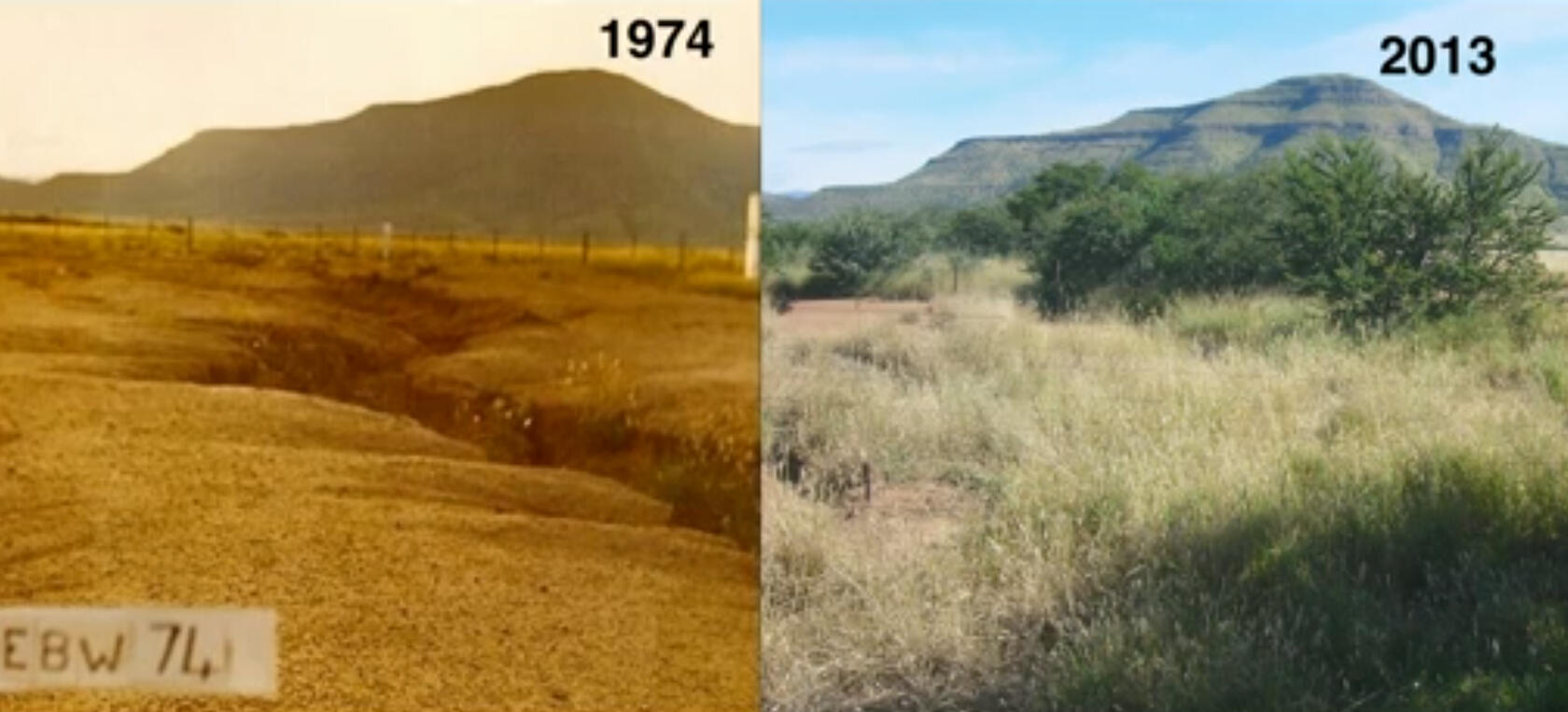 1974vs2013