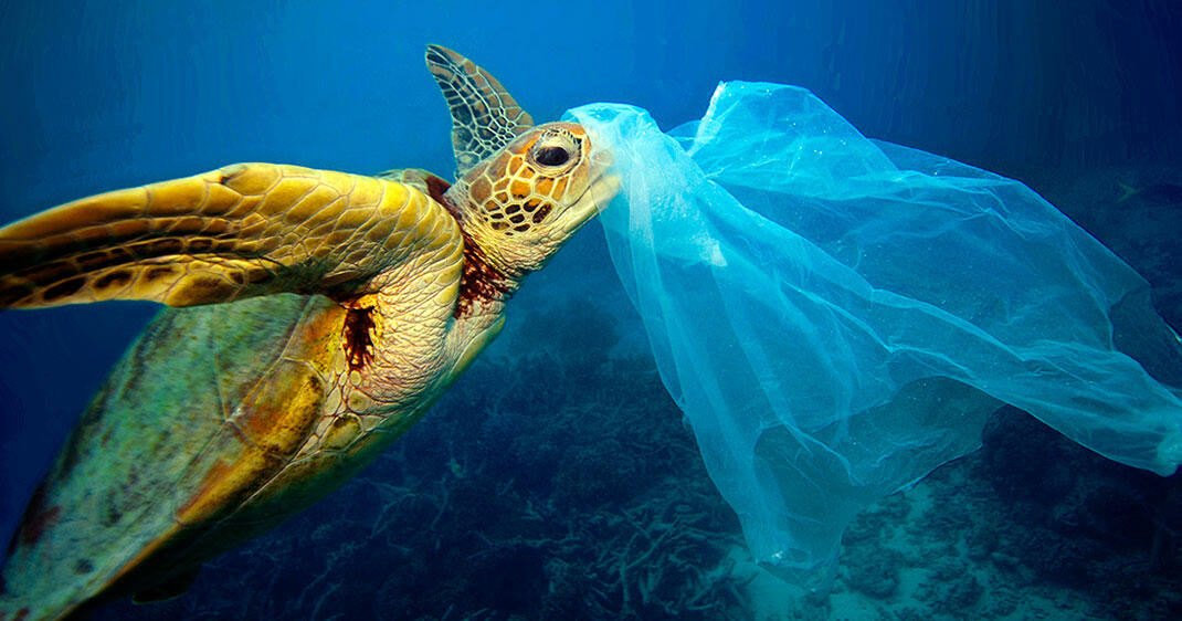 La fragmentation des déchets plastiques continue à polluer les océans 