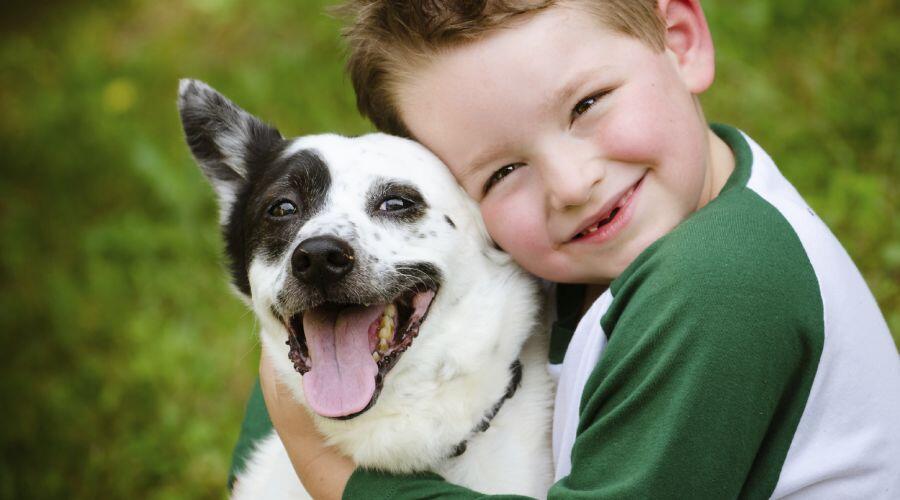 How to make your child an animal lover