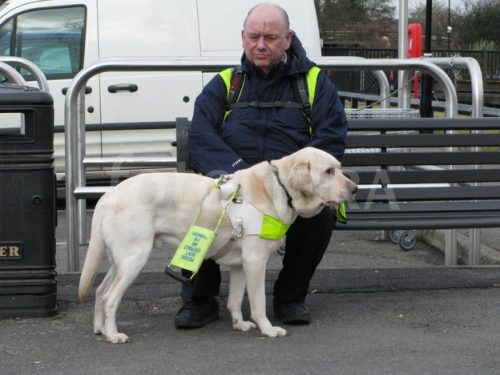 BLIND MAN AND GUIDE DOG 2009