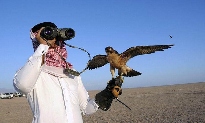 Falcons released in Kazakhstan by UAE programme