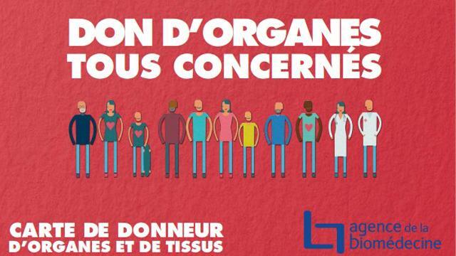 Nouvelle campagne de dons d’organes : « tous concernés »